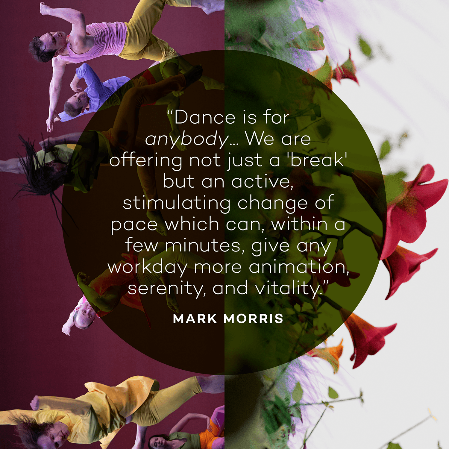 Dance is for anybody... We are offering not just a 'break' but an active, stimulating change of pace which can, within a few minutes, give any workday more animation, serenity, and vitality. - Mark Morris