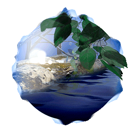 Leaf Orb