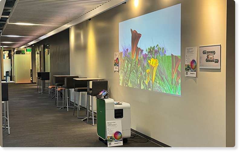 A photo of employees using Breakthru together in the office space