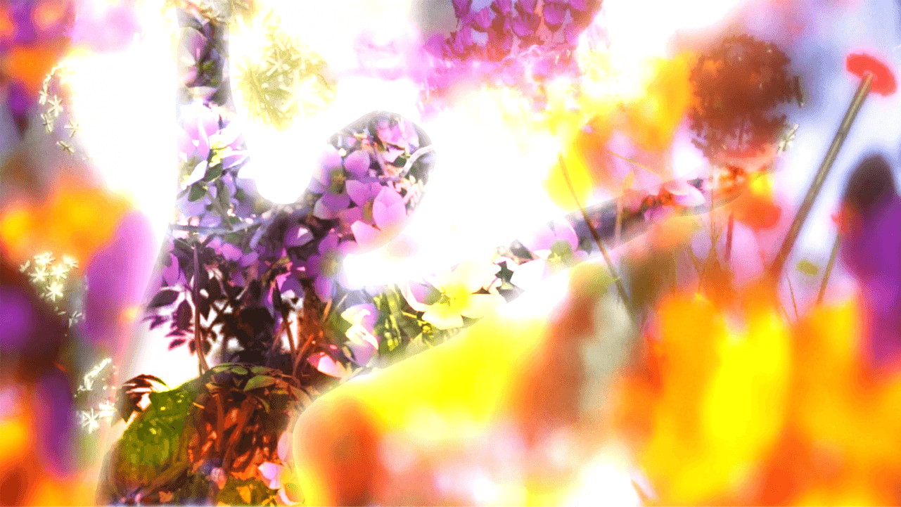 A colourful, calming floral graphic