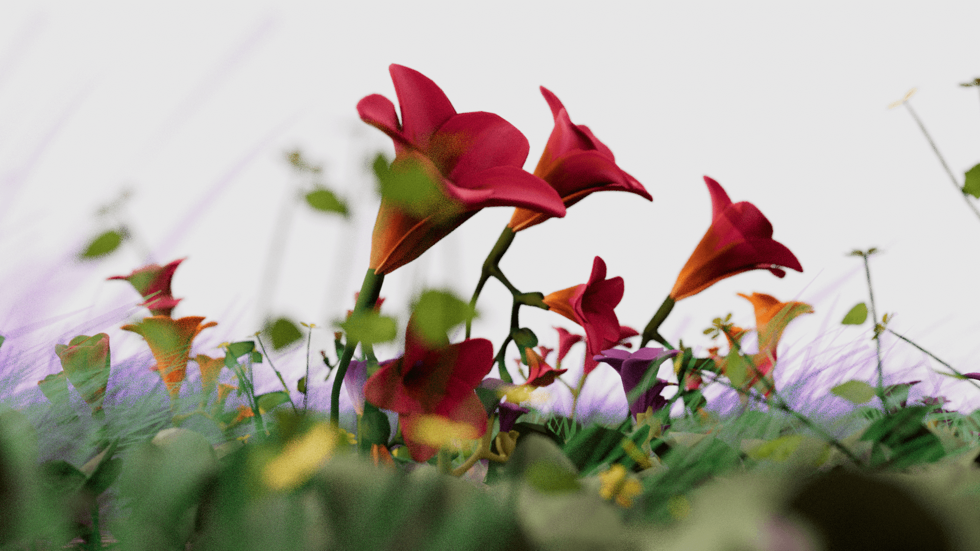 Photo close-up of red lillies in a field