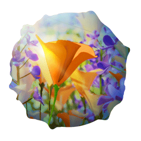 Gift Orb 7