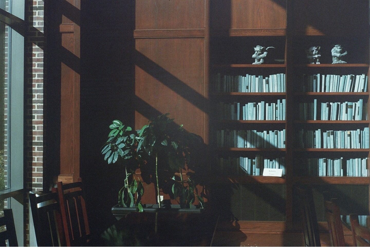 A still image of a moonlight streaming in through a window of a wood-pannelled room, illuminating the books on a bookshelf