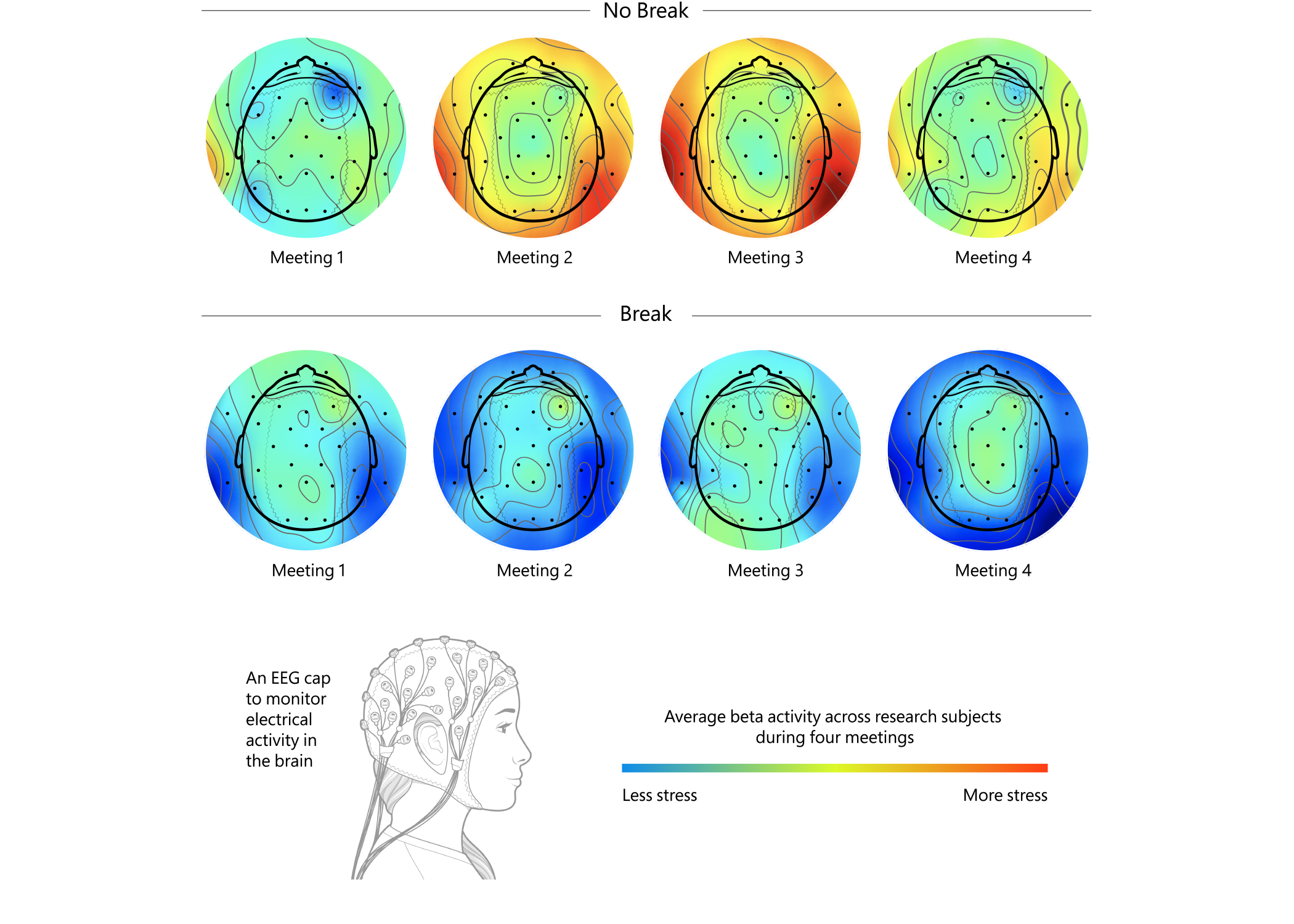 An illustration showing the increase in neural activity due to stress in meetings without breaks apposed to meetings with breaks